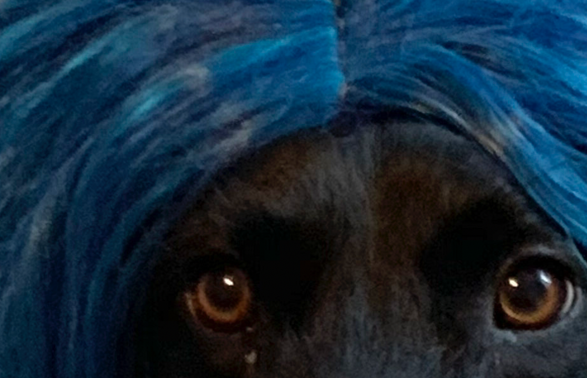 Blue. In this world are many creatures, Large… by Jon Collins Oct