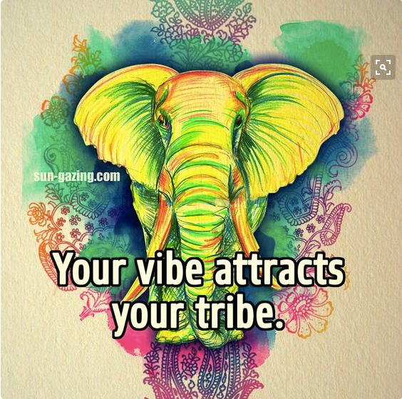 Attracting Like Minded People By Steve Taraboulsis By Innovation 4 Education Medium