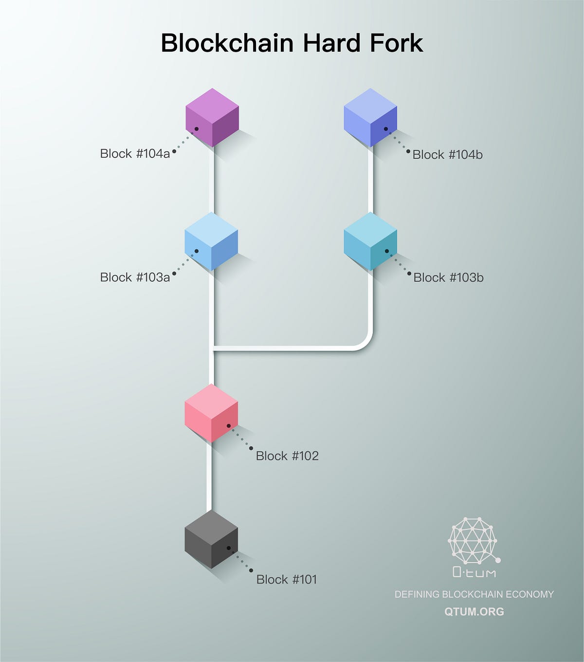 What is a blockchain fork?. If you've had any exposure to the world… | by  Qtum | Qtum