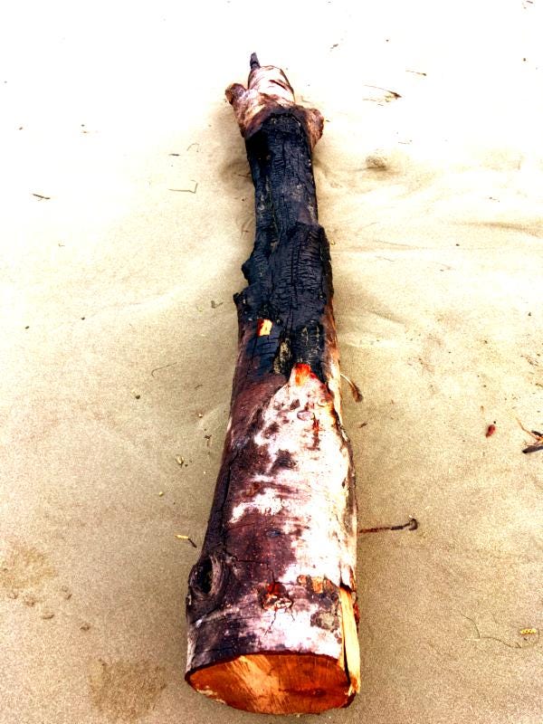 Burned long on the beach in high contrast
