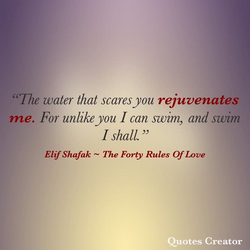 The Forty Rules Of Love Book Review By Momina Wahab Medium