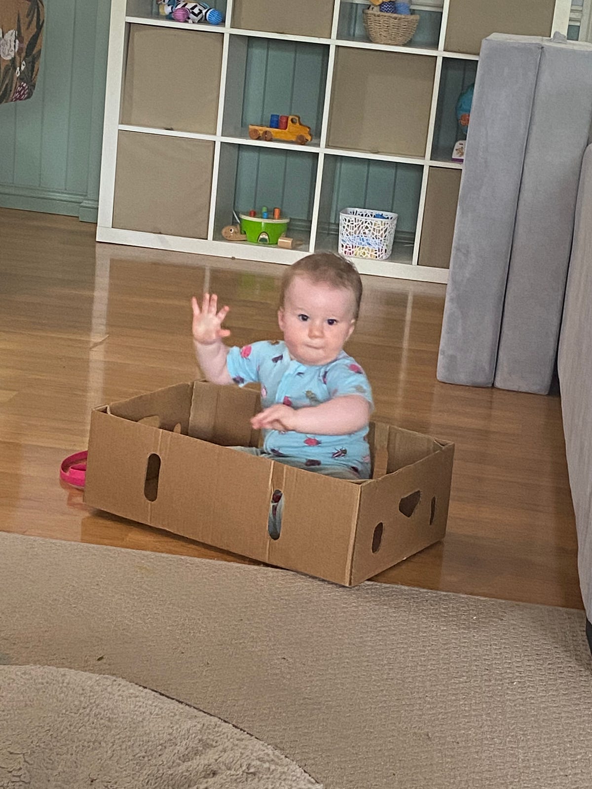 Babies like to play in boxes. The Daily Cuppa Medium