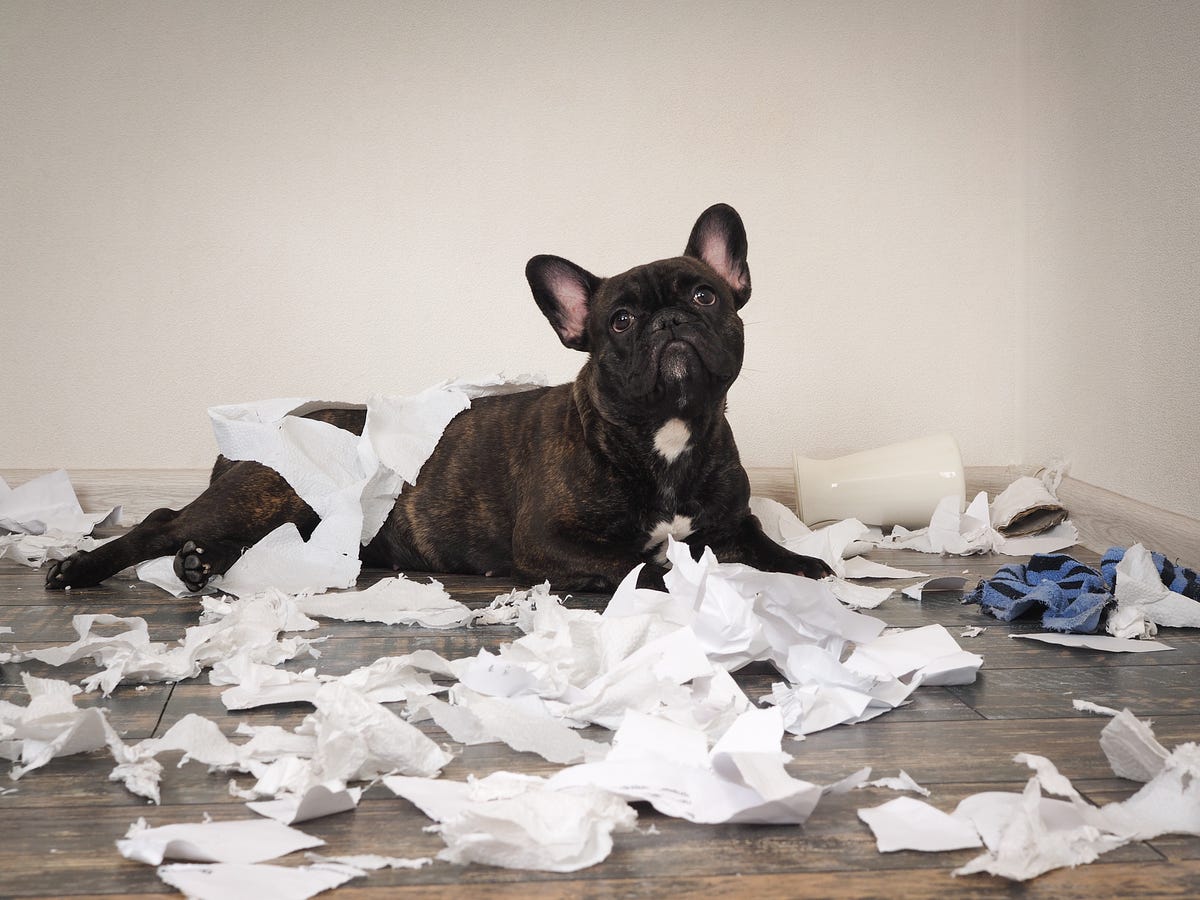 Why Are Company Assets Disorganized? | by Brandon Kaylor | Medium