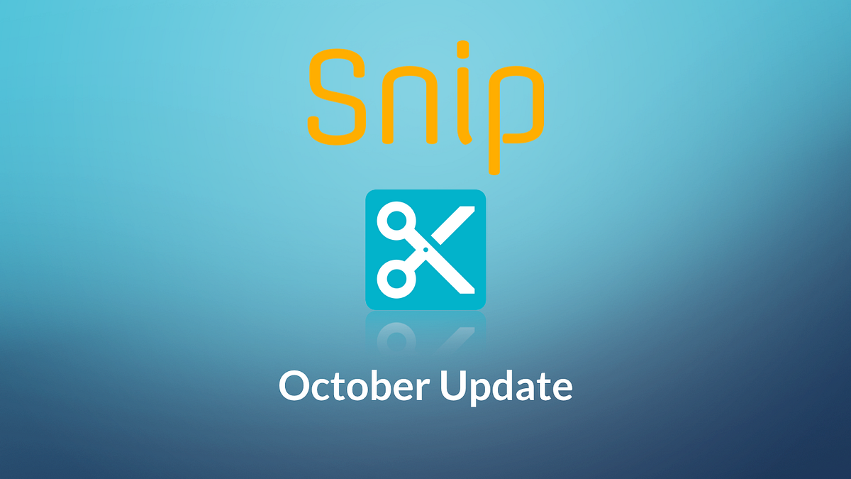 Snip — October Update. Greetings to the Snip community! | by Rani Horev ...