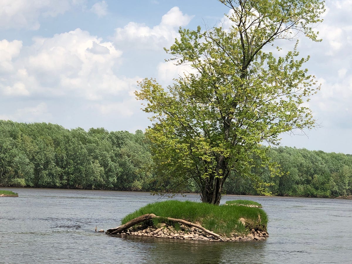 Wiled Rivers Old Wild river. Does not look too wild to me | by Linda B. | Medium