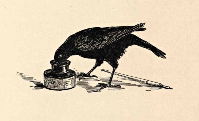 Cosa Hanno In Comune Un Corvo E Una Scrivania