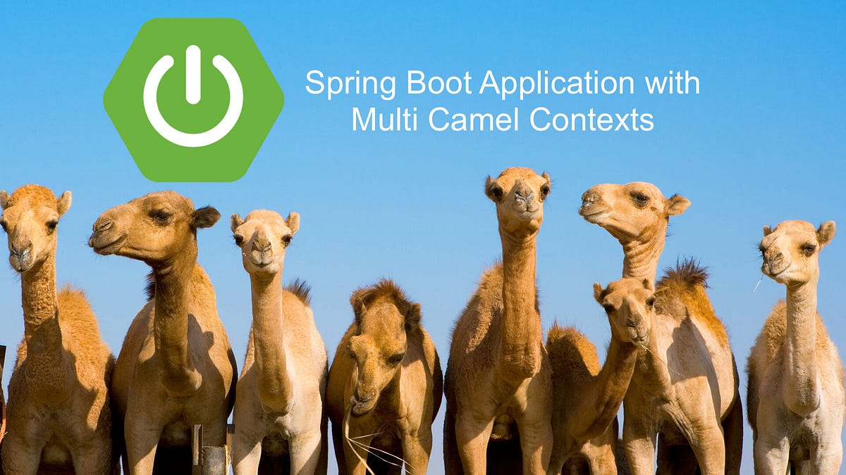 How to configure multiple Camel Contexts in the Spring ...