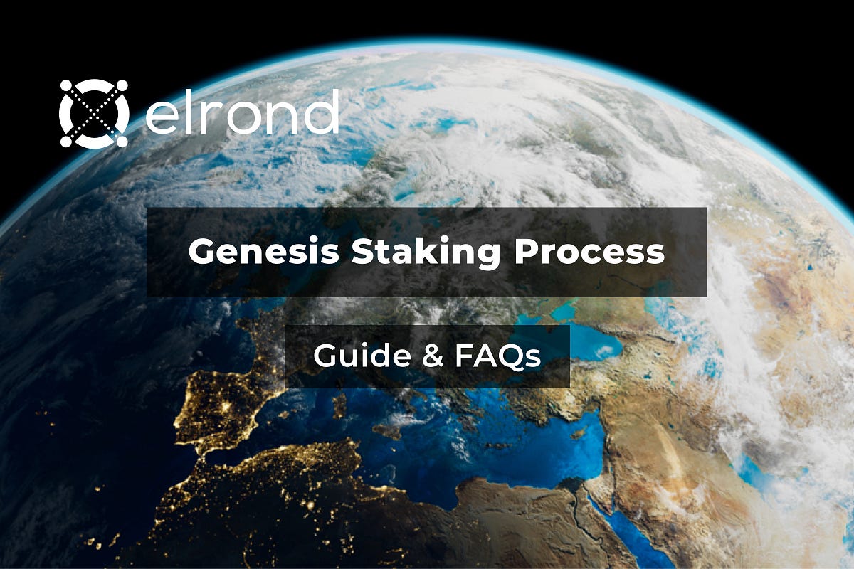 The Elrond Genesis Staking Guide & FAQs | by Beniamin ...