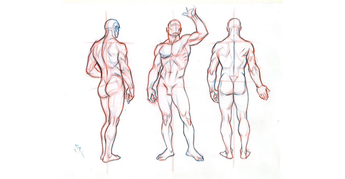 Beginner S Guide Importance Of Proper Body Proportions And How To Get Them Right By Scriba Stylus Medium