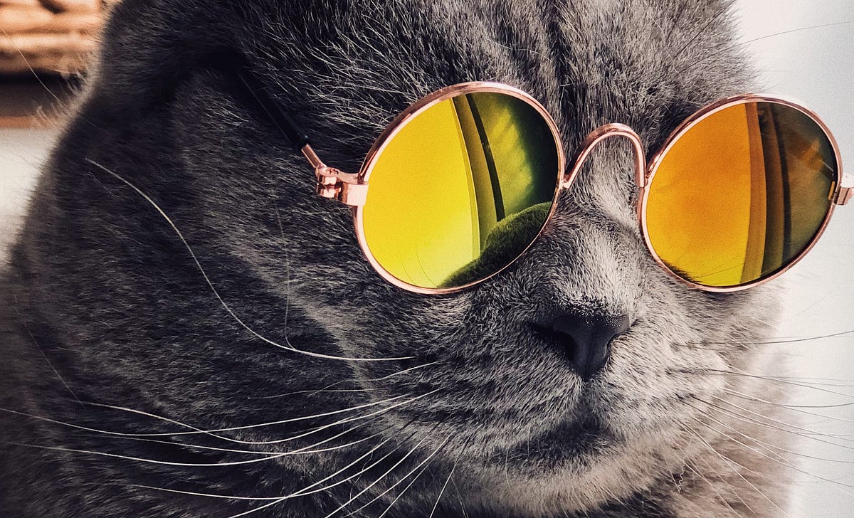 5 Ways Swag Can Actually Boost Business By Product Hunt Product Hunt