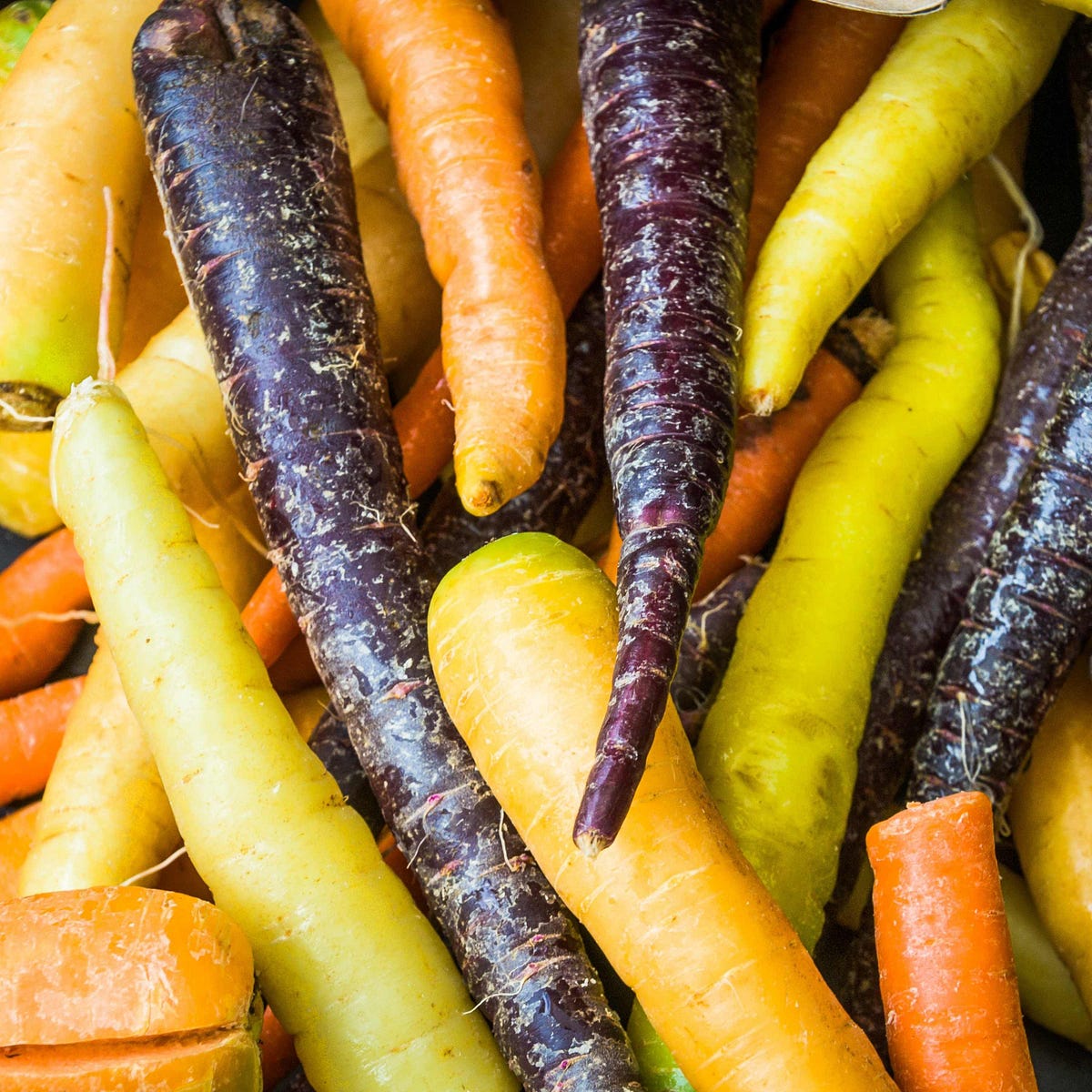 Organic Carrot Planting Guide Grow & Learn Medium Grow and Learn