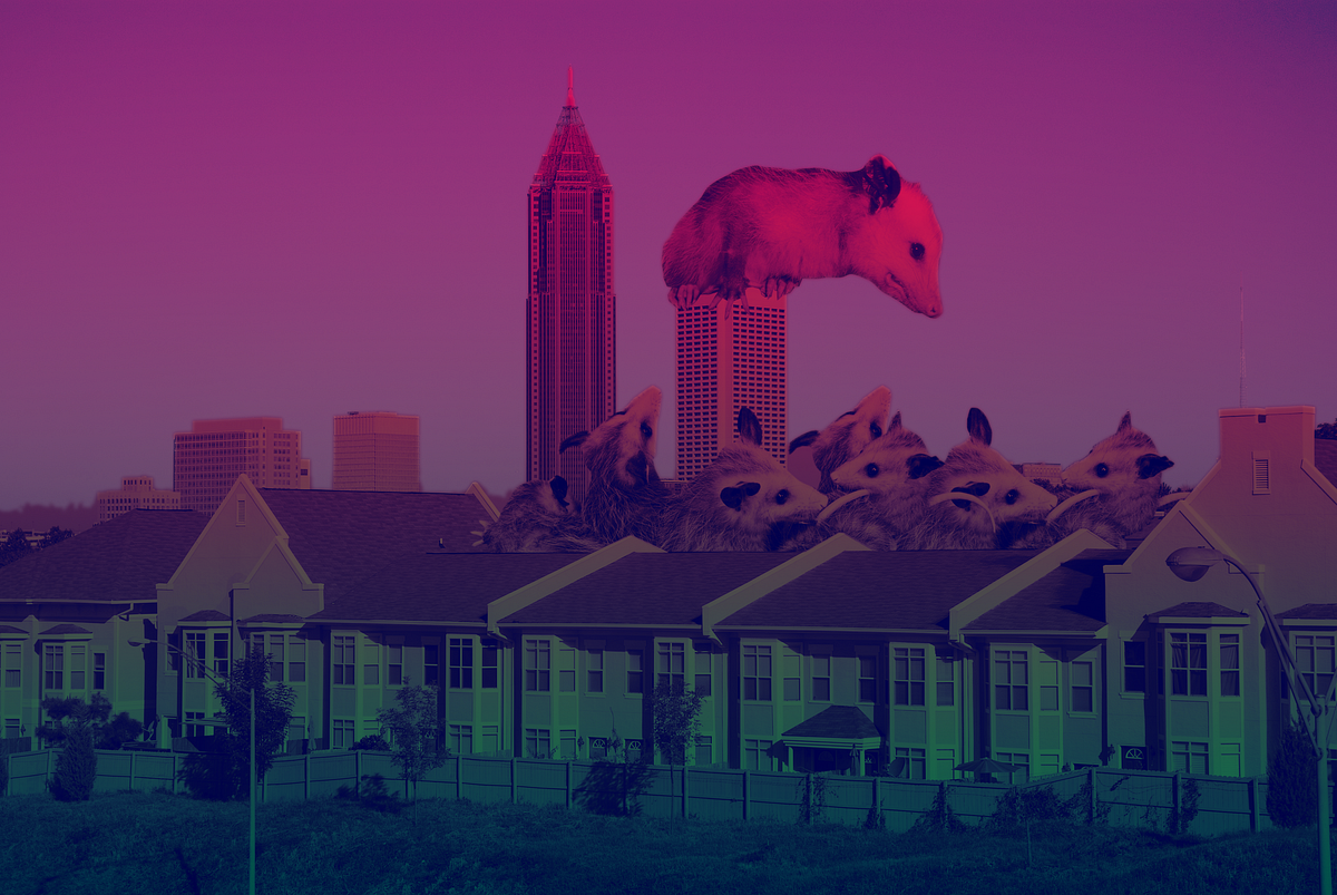 Stay Away From Those Damn Possums By Jason Pierce Mallory Scene