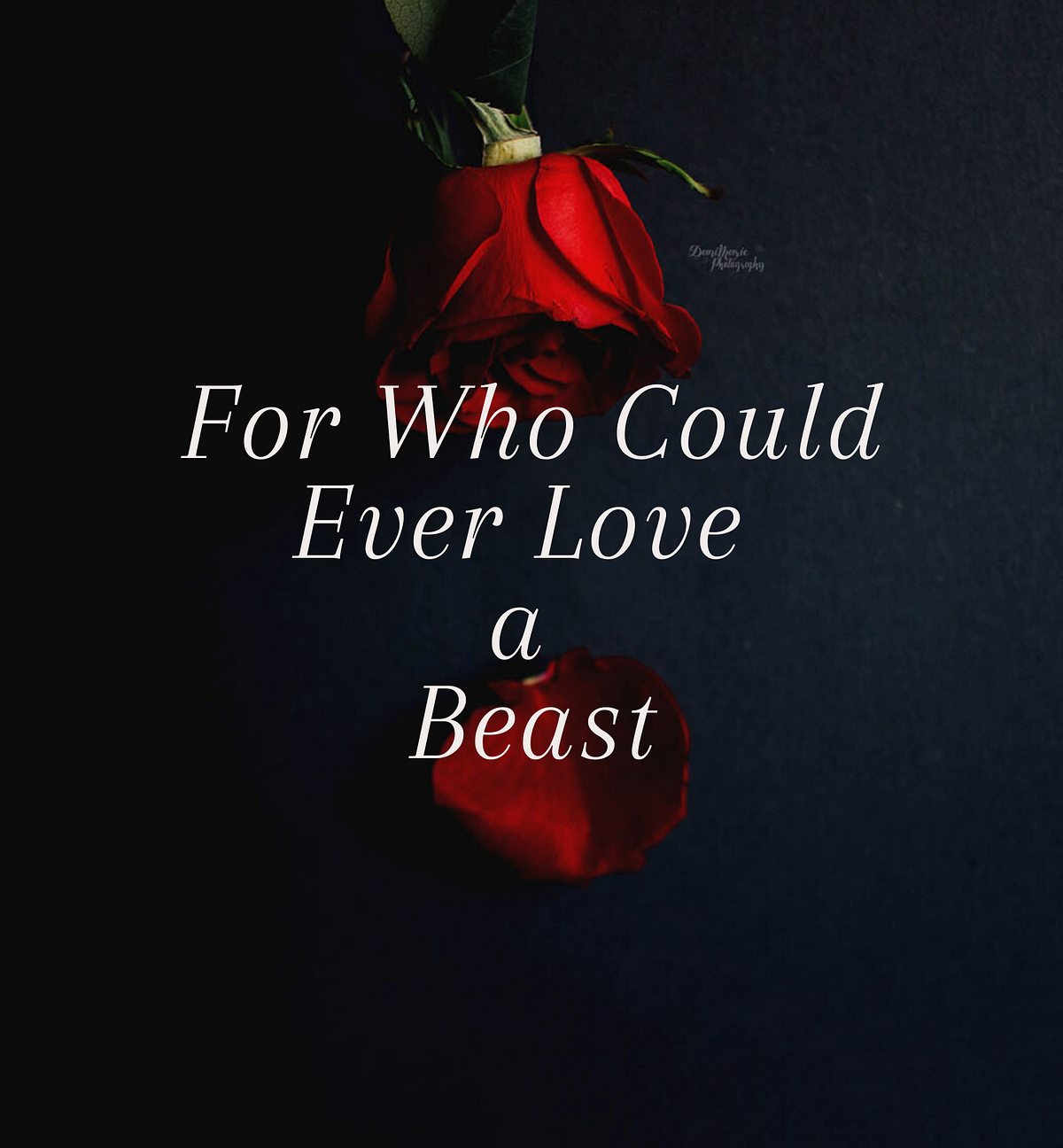 For Who Could Ever Love A Beast If You Were To Change Into A Snake By Maneesha Rajaratne Love Circle Medium For Who Could Ever Love A Beast If You Were To Change Into A Snake By Maneesha Rajaratne Love Circle Medium