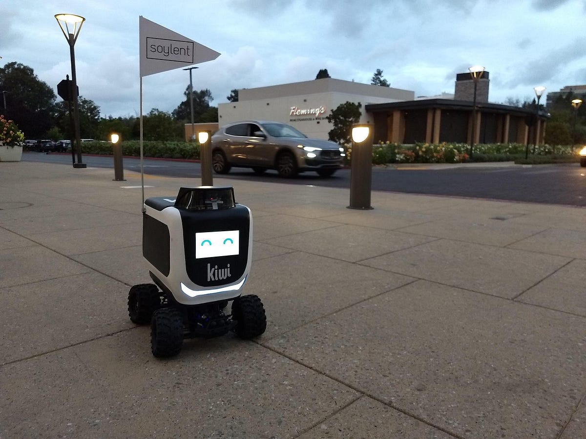 Why Do I Want to Kick Those Cute Little Food-Delivery Robots? | by Jessica  Lynn | The Bold Italic