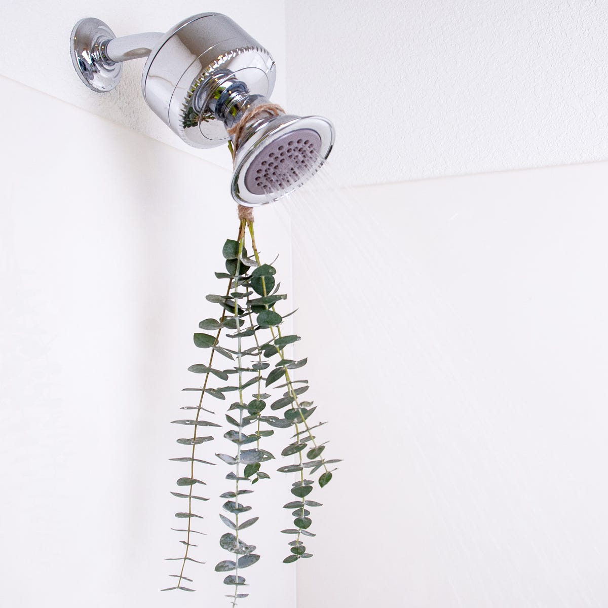 Hanging Eucalyptus Shower Bouquet & 5 Other Tips for Creating a Spa