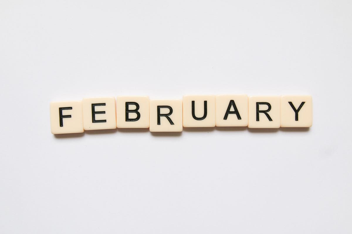 Surviving February Februaryand you need a plan by Christine Surviving February Februaryand you need a plan by Christine