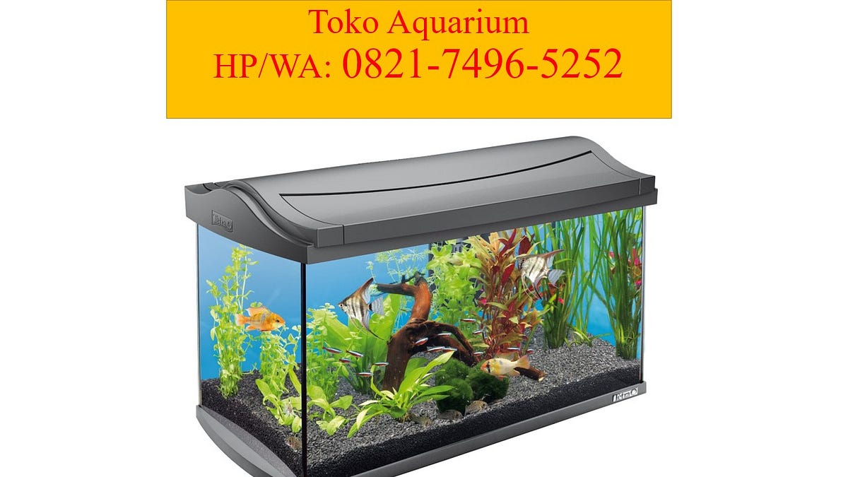  Jual aquarium  mini batam 0821 7496 5252 HP WA by toko 