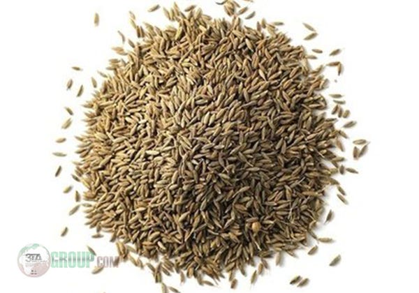 cumin supplier in Iran