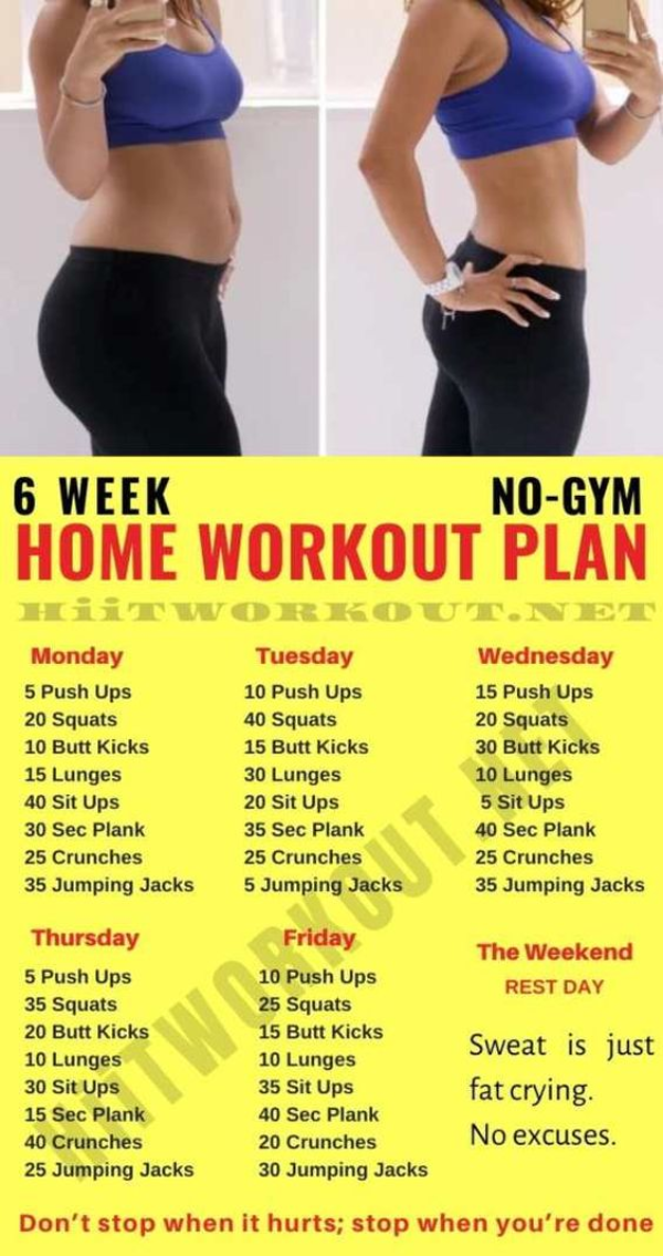 At Home No Equipment Workout Plan OFF 63 