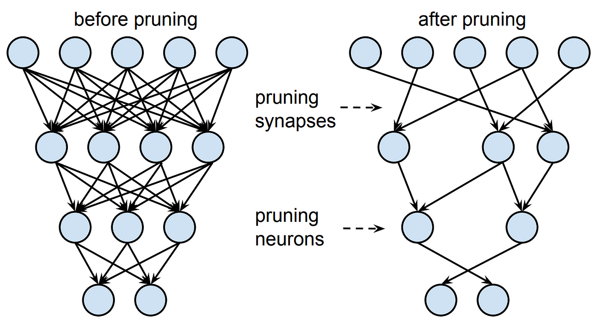 Pruning Neural Networks