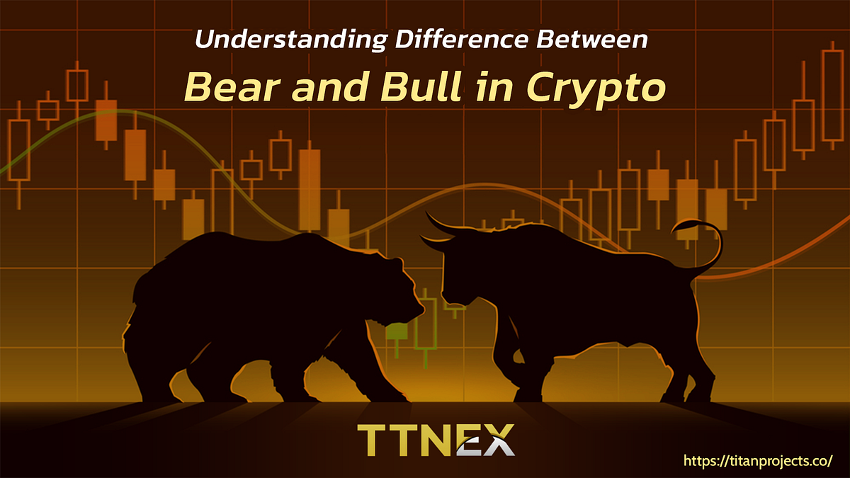 Your Guide To Everything Bull And Bear In Cryptocurrency | By TTNEX ...