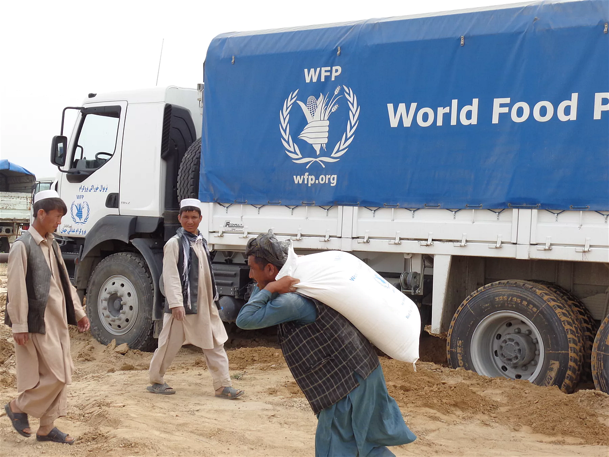 Afghanistan: Projects for a better future - World Food Programme Insight