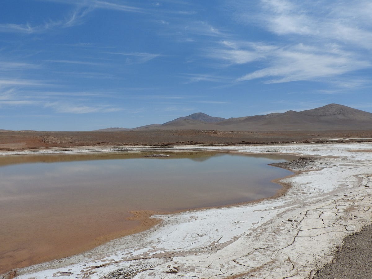 when-rain-in-the-desert-brings-death-instead-of-life-by-karen-frances