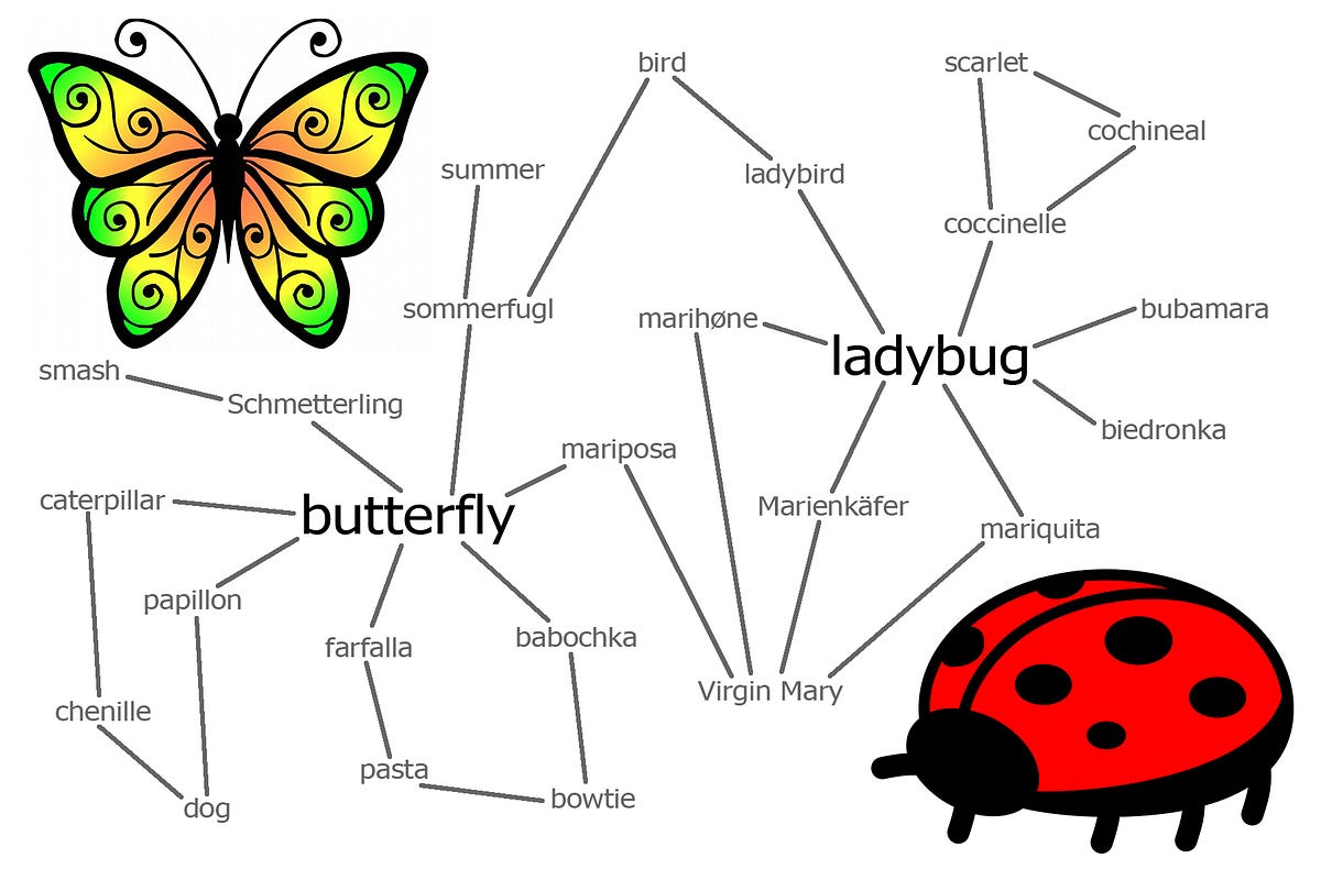 Word Connections Butterfly Ladybug By R Philip Bouchard The Philipendium Medium