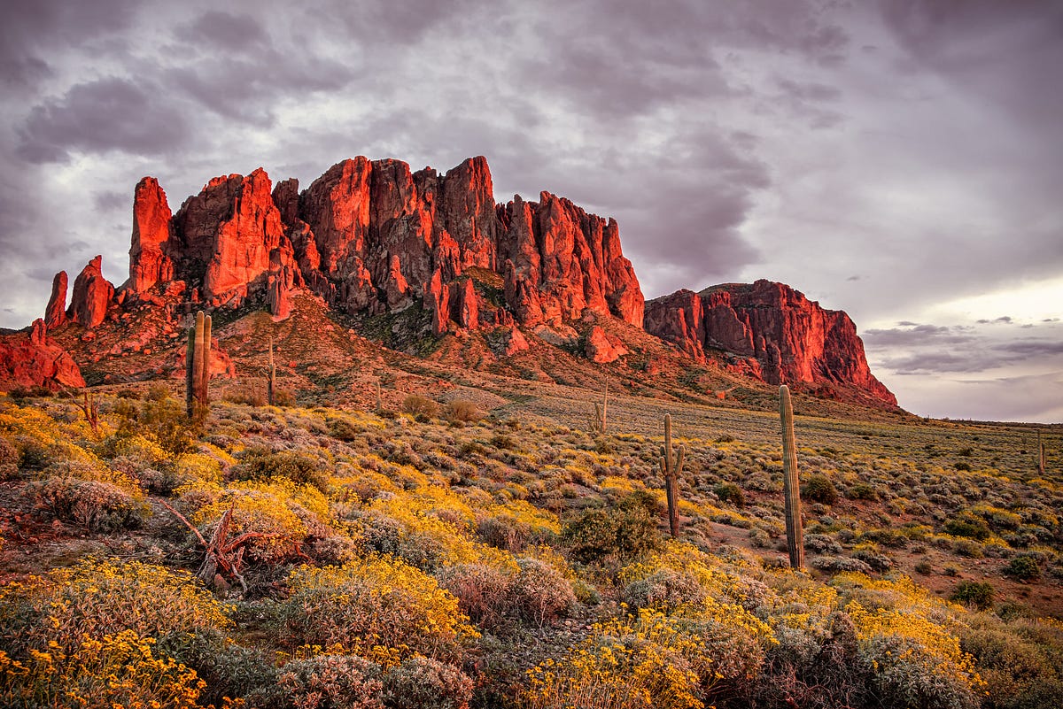 Explore Mesa with Enterprise coupon code by lunalee906 Medium
