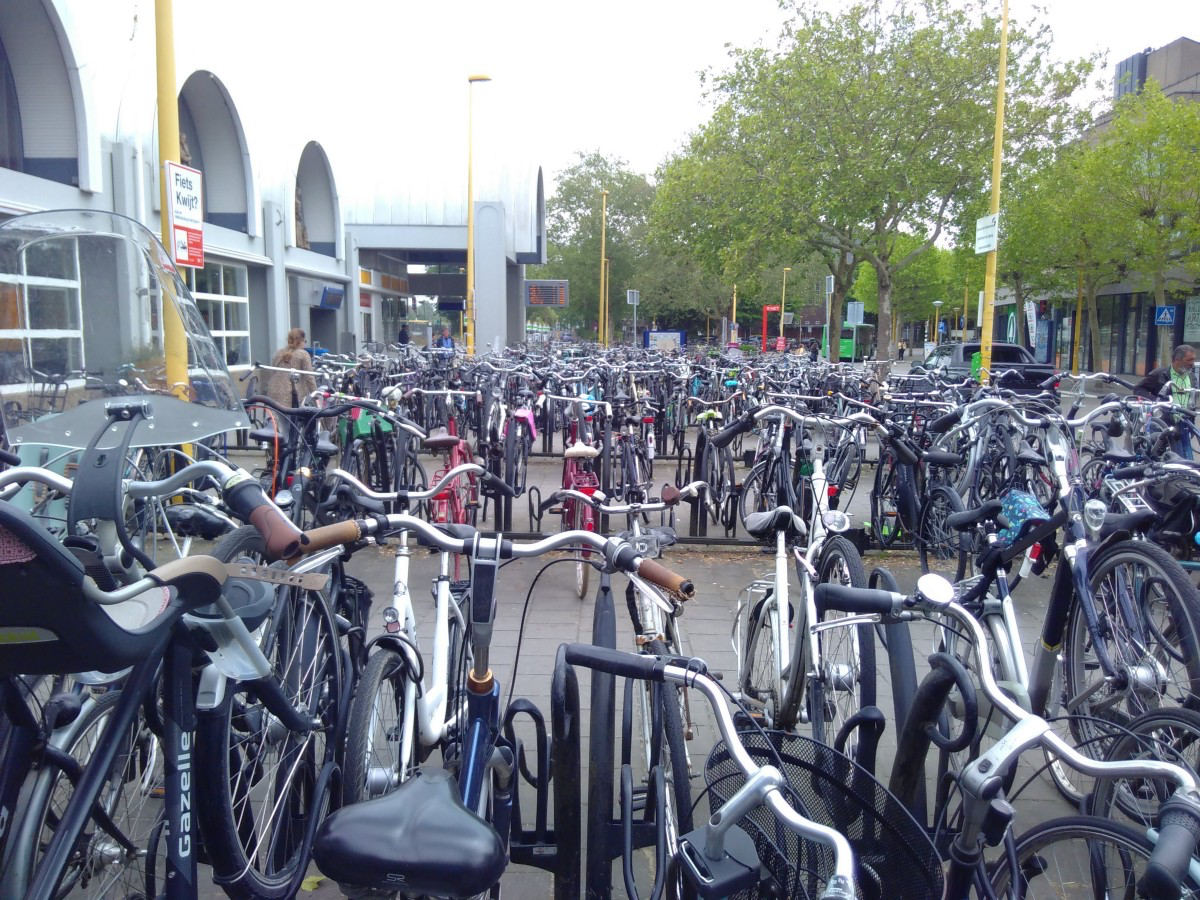 Cycle-topia, Dutch style. Source: author