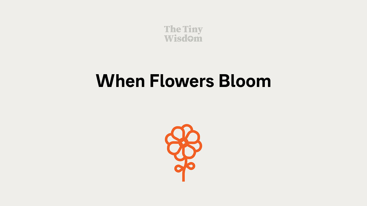 When flowers bloom. What you should do when you feel… by Briandito