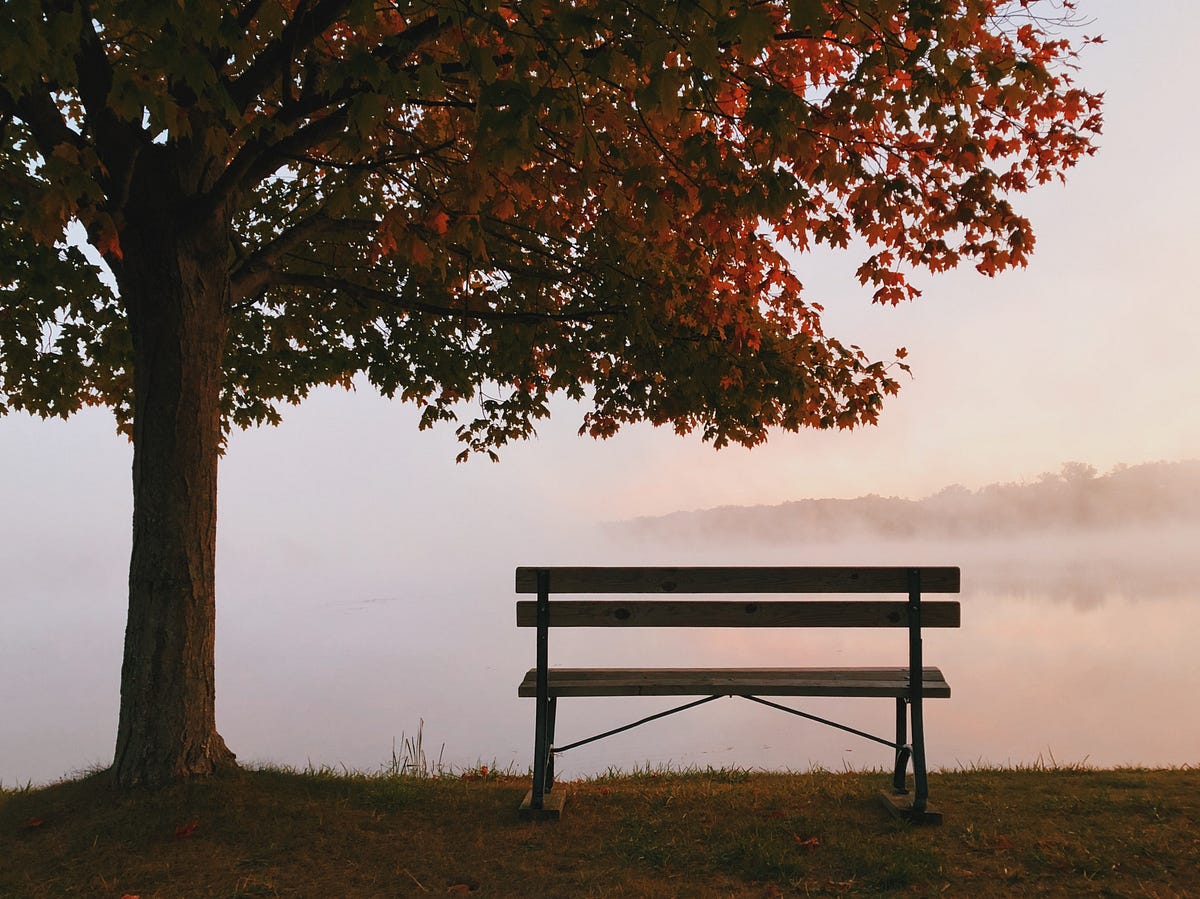 How to Replenish Your Mind with “Park Benching” | by David Majister | Mind  Cafe | Medium
