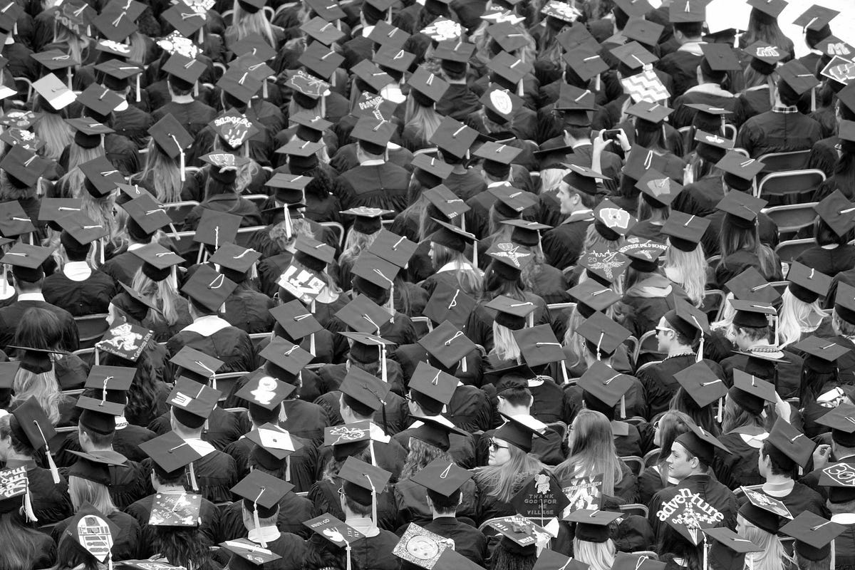 Should You Study For A PhD Or Join The Workforce By Albert Cliff