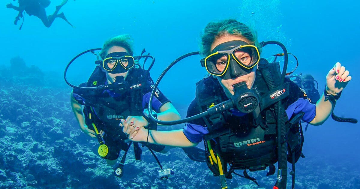 What Should You Do When You Do Scuba Diving Dubai? | by Pursueit | Dec, 2021 | Medium