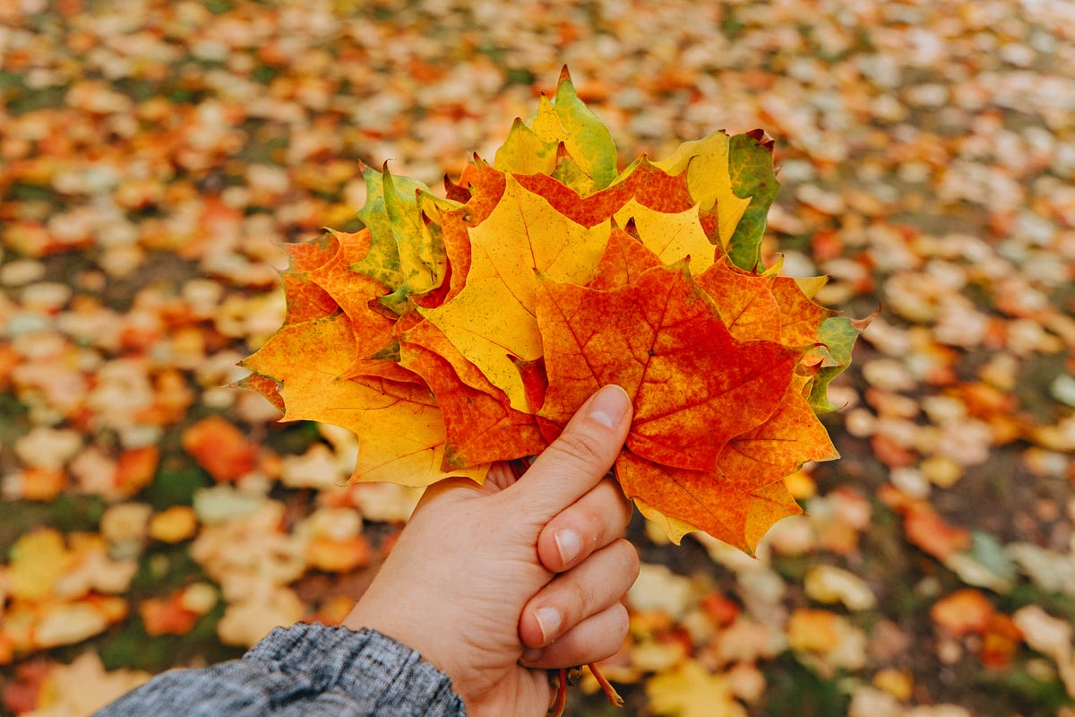 importance-of-october-october-is-an-important-month-for-a-few-by
