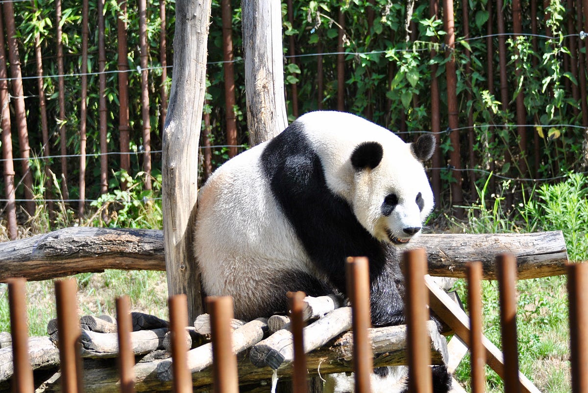 How To Use Pandas To Analyze Numeric Data By WY Fok Towards Data
