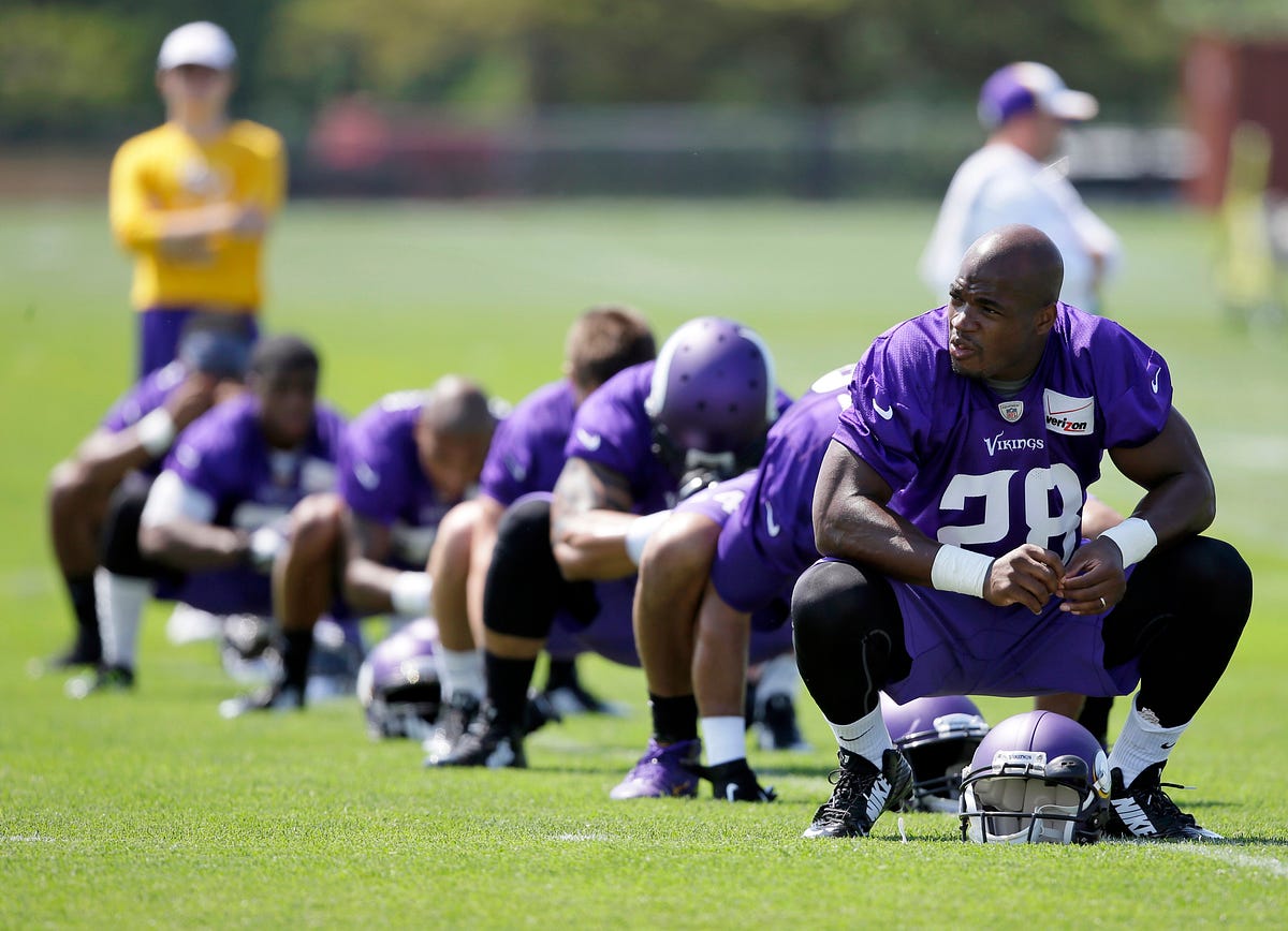 adrian peterson dog jersey