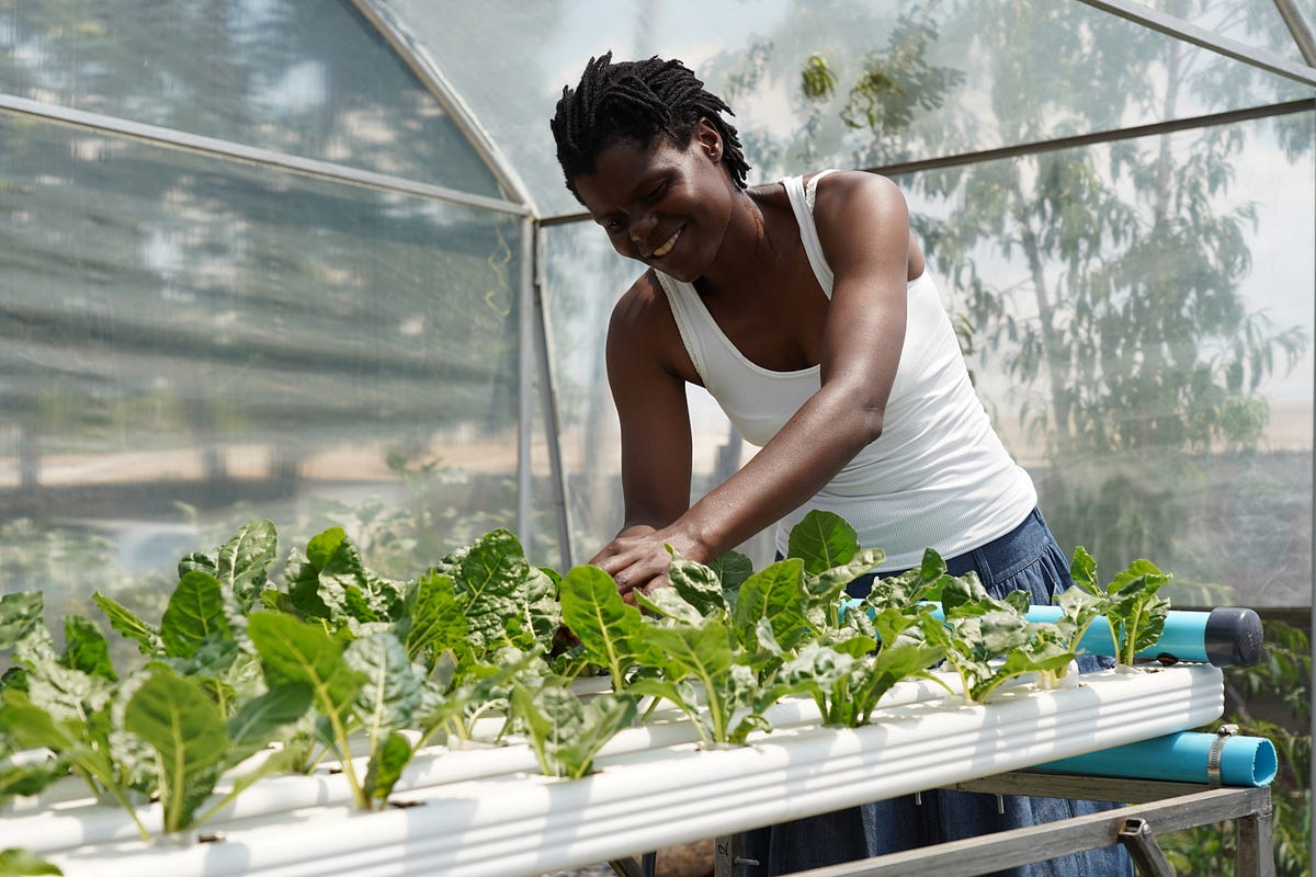 literature review on urban agriculture in zimbabwe