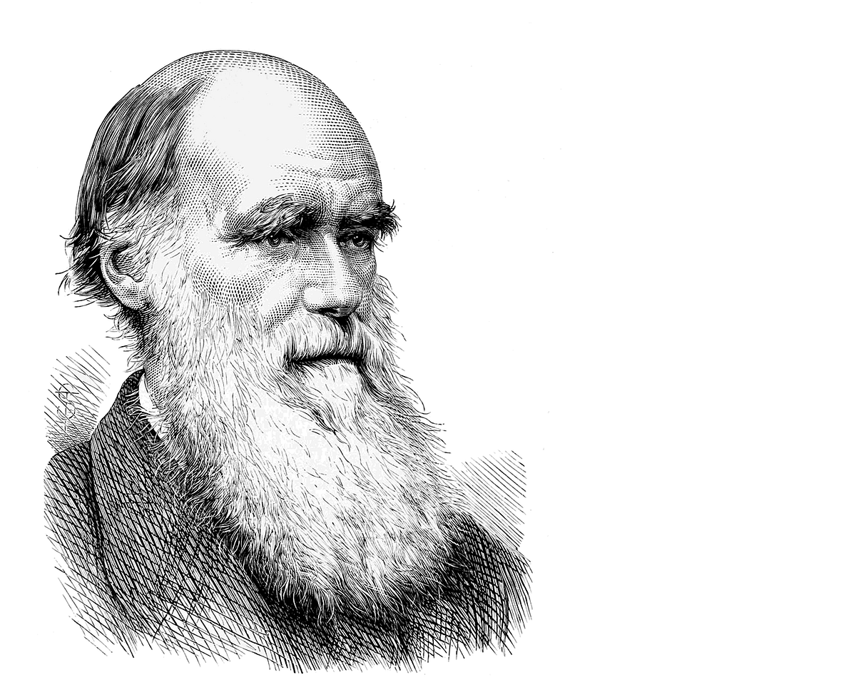 A Teoria De Charles Darwin É Um Exemplo Da