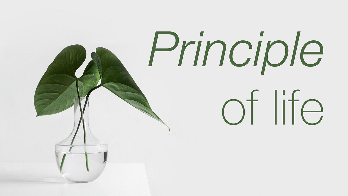 Principle of life. Do you life up to your principles? by Jonas