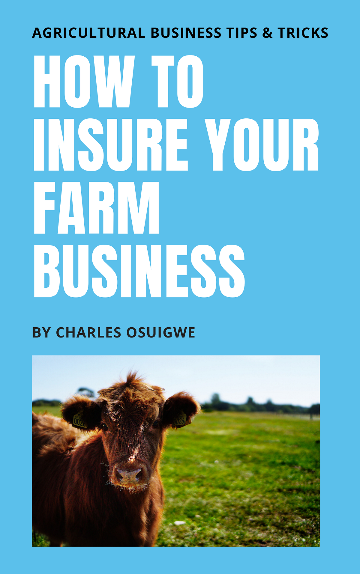 How to Insure Your Farm Business And Avoid Losses by Charles Osuigwe
