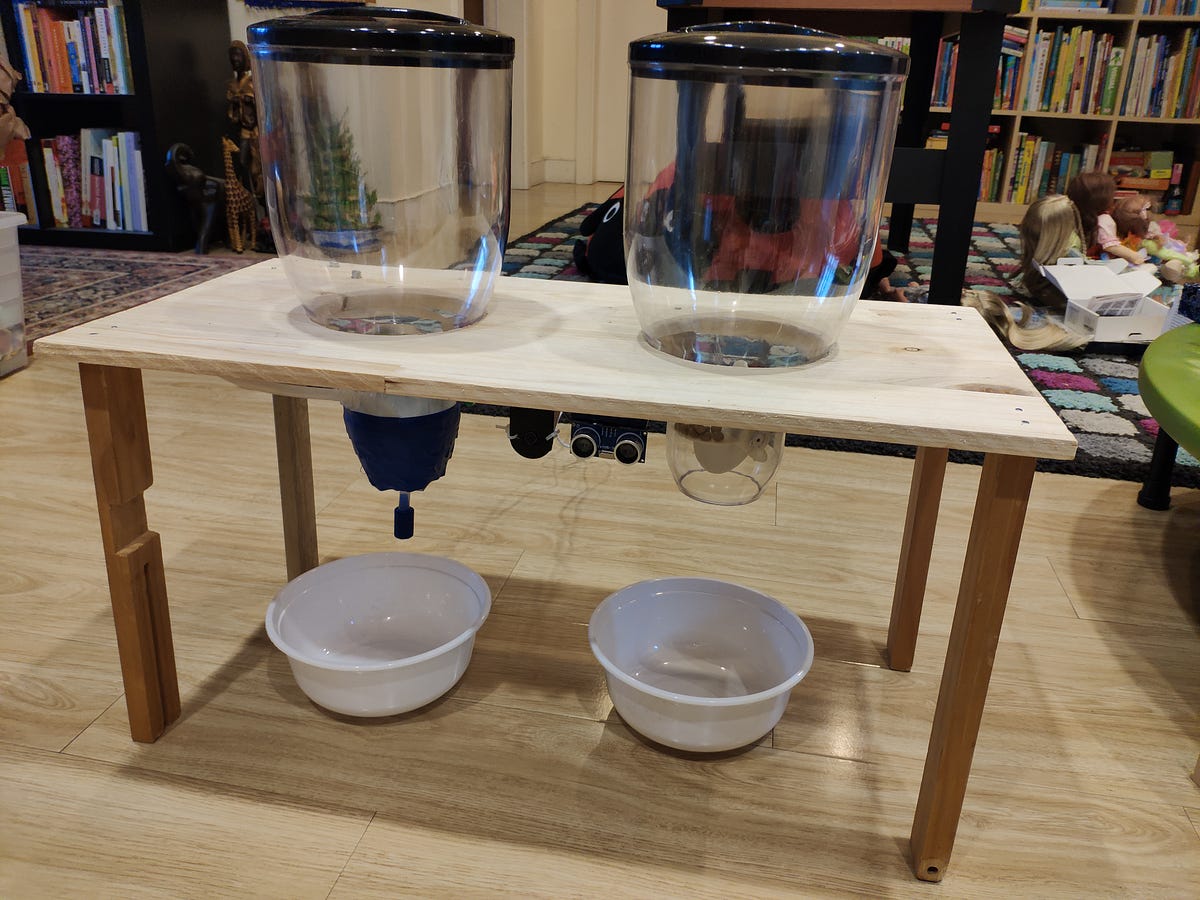 automatic cat feeder raspberry pi