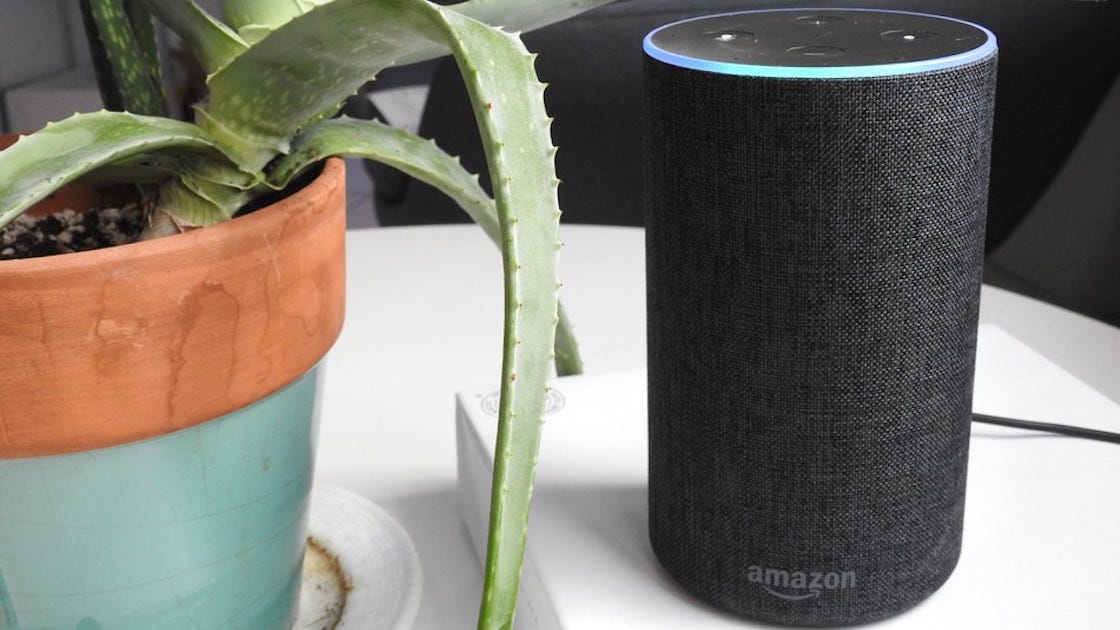 A month with Amazon Echo. Is it worth the hype? | by Dinesh | Medium