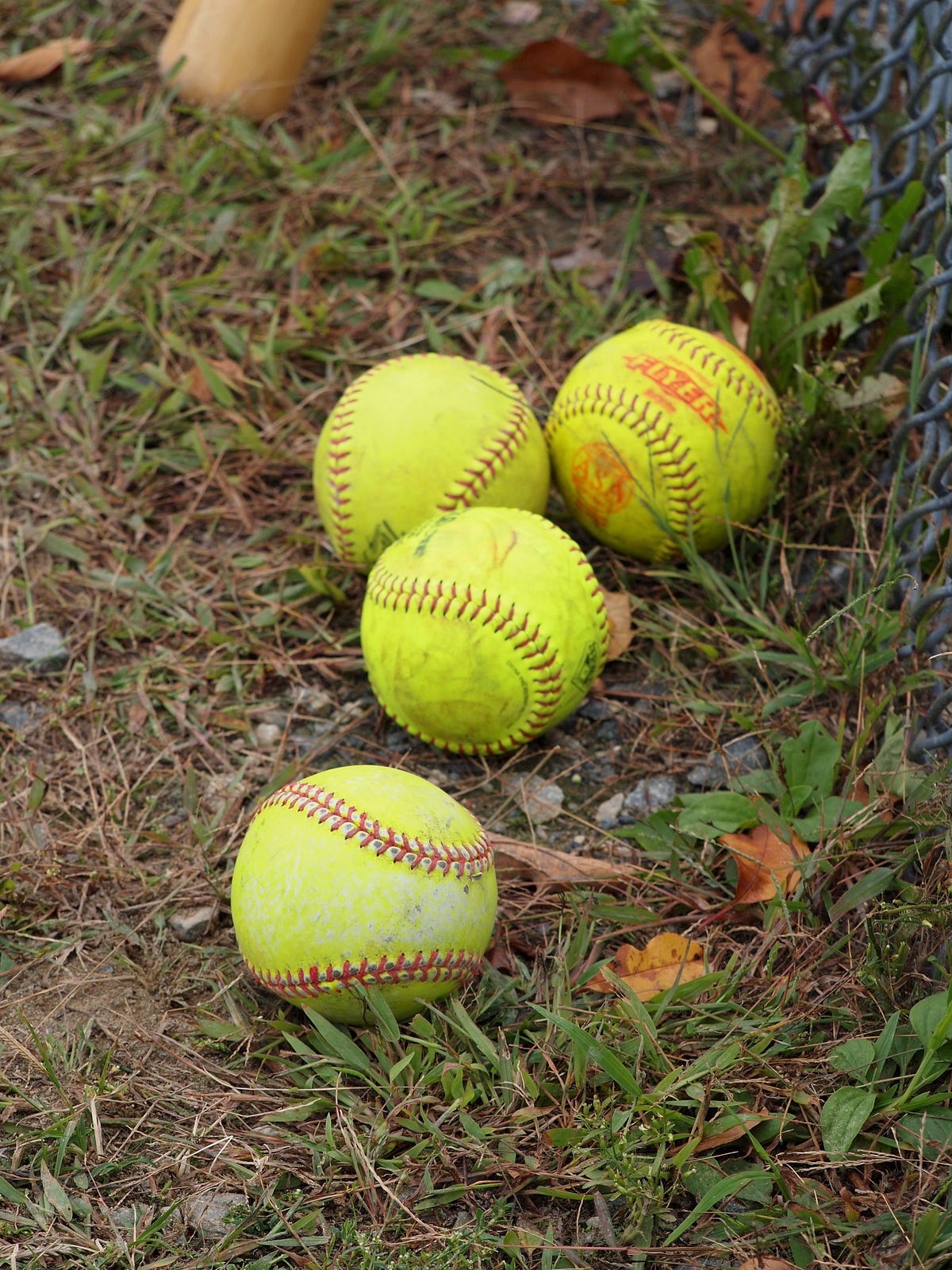 The REAL Grapefruit League. Never underestimate a woman! by Ellee