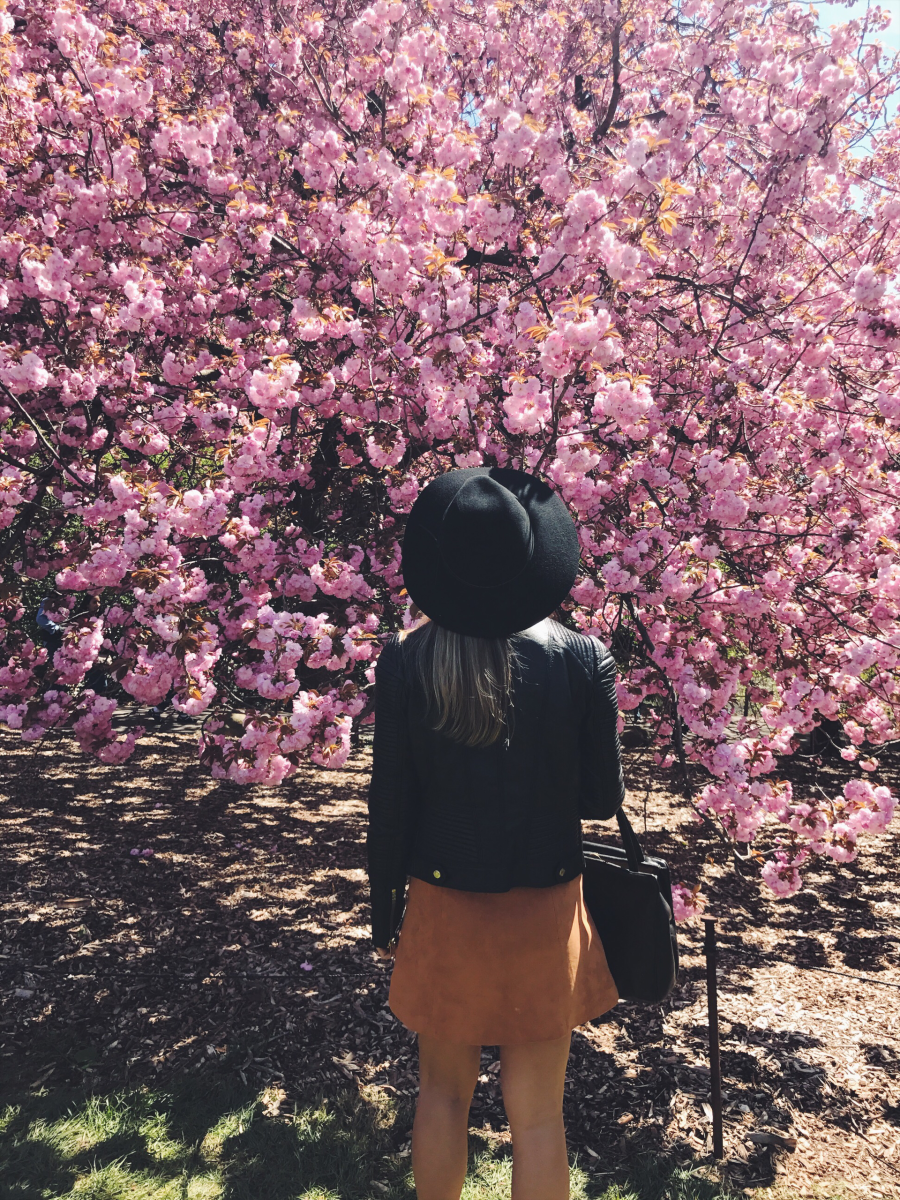 Sakuras Em Tokai 5 Lugares Para Apreciar O Sakura Na By Bane Bell Medium