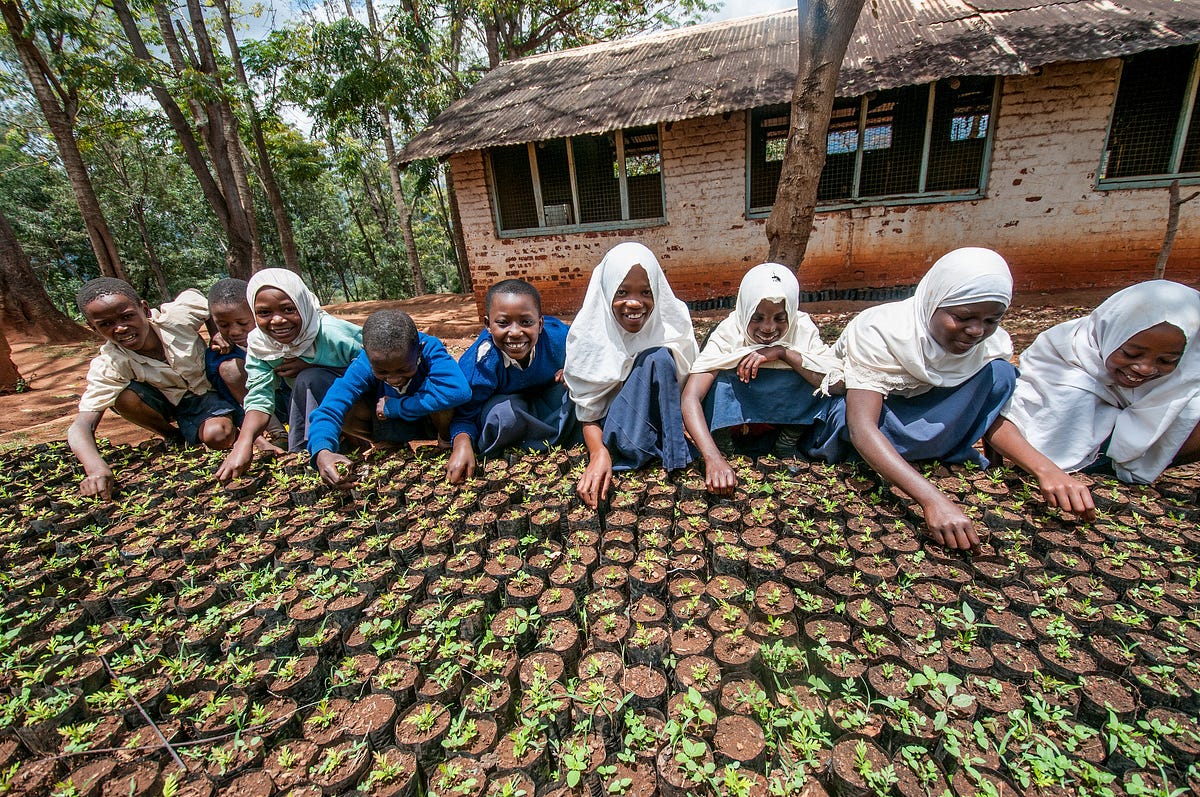 To fellow African youth, I tell you this: Farming is not your last