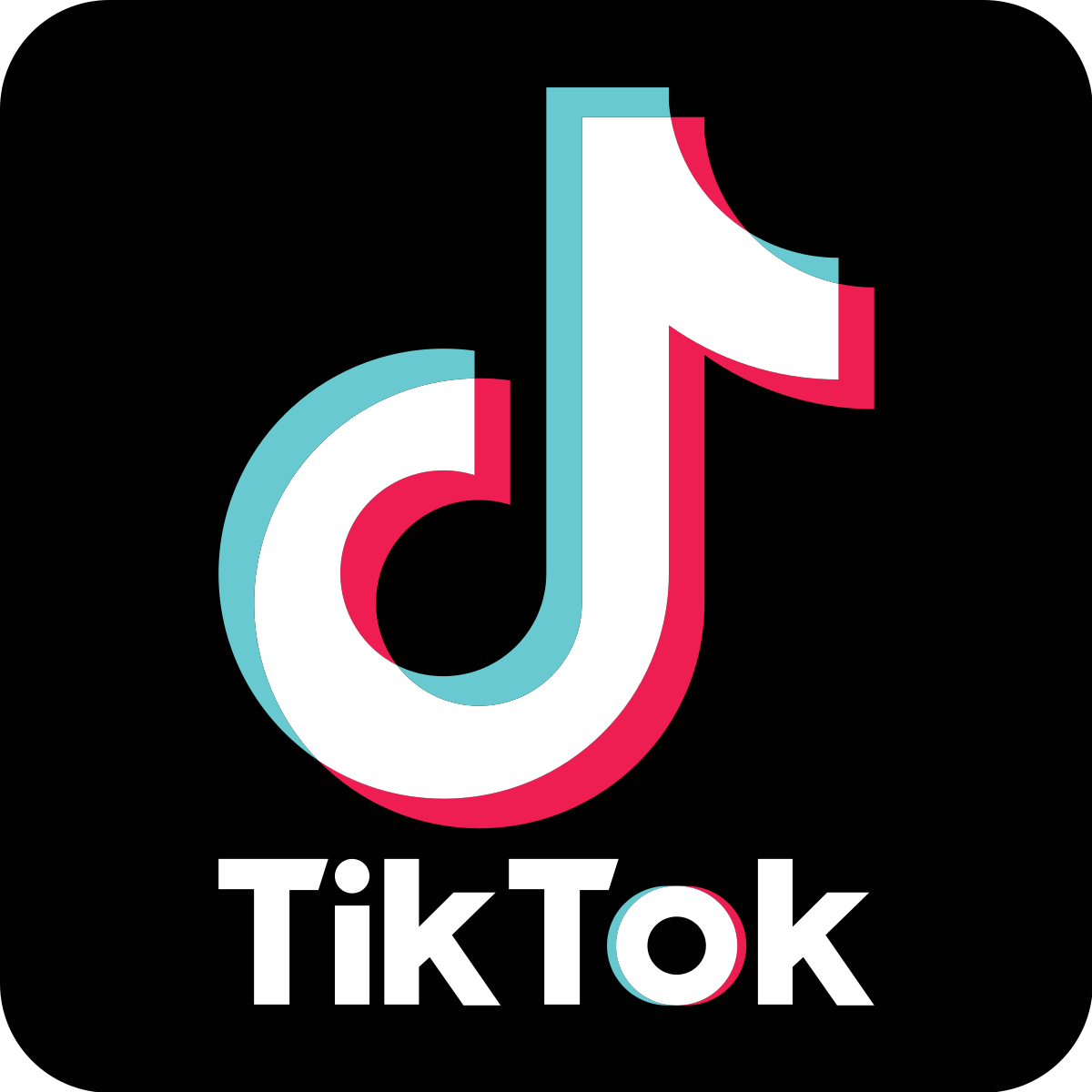 How Vine's Failure Was Necessary for TikTok's Success | by Matthew Knipfer  | The Startup | Medium