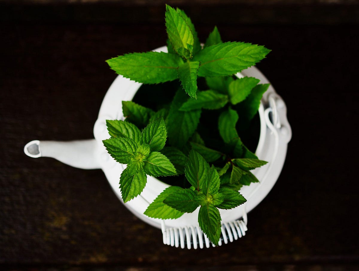 The Power of Peppermint Can it Help Ease Your IBS Symptoms? by