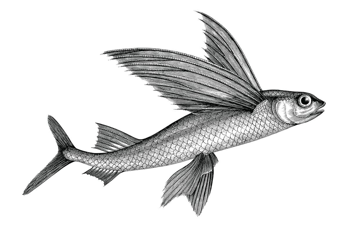 towards data science