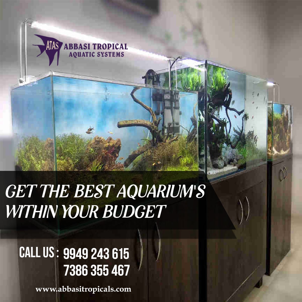 66 Aquarium Design Hyderabad Gratis Terbaik